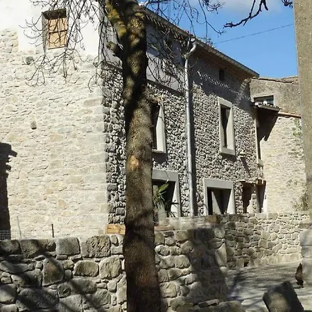 Villa Misanid Ecrin De Verdure A 15Mm De La Cite De Carcassonne Mas-des-Cours Exterior foto
