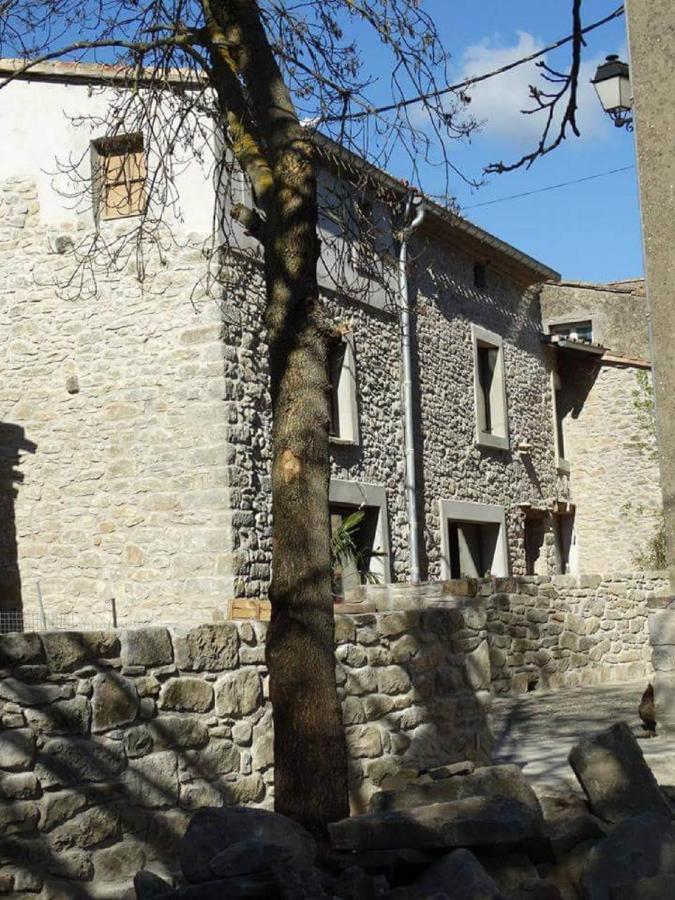 Misanid Ecrin De Verdure A 15mm De La Cite De Carcassonne *